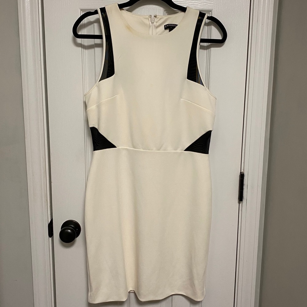 Express bodycon dress